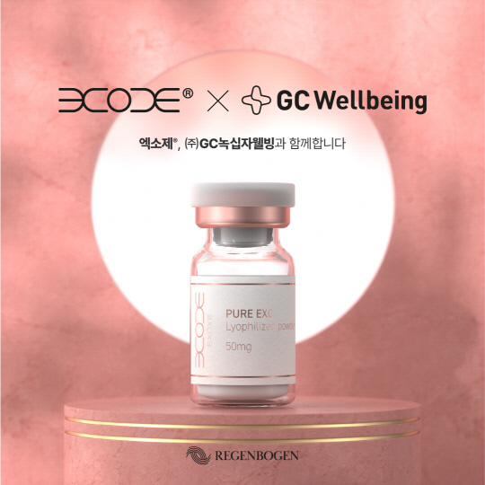 엑소제(EXOXE). 레겐보겐 제공.